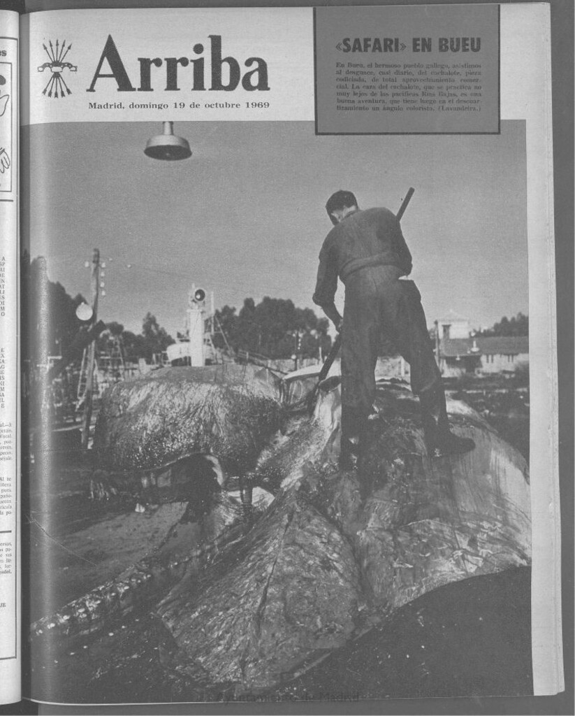 Miniatura de Arriba del 19 de octubre de 1969