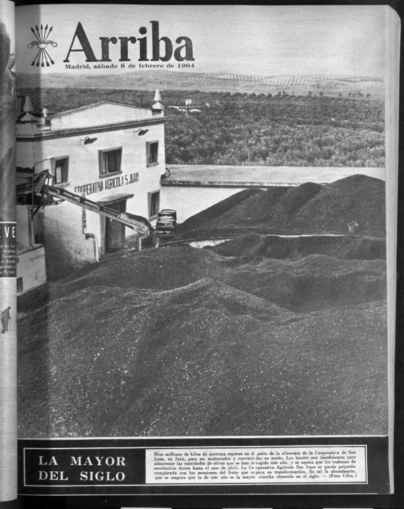Miniatura de Arriba del 8 de febrero de 1964