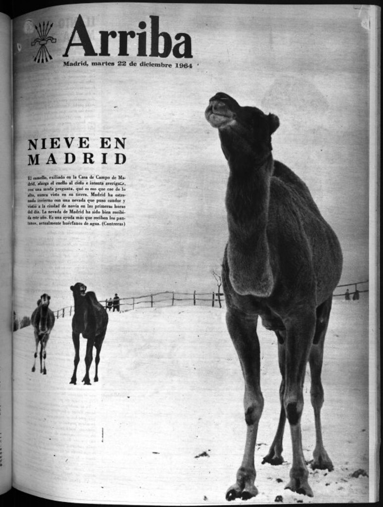 Miniatura de Arriba del 22 de diciembre de 1964