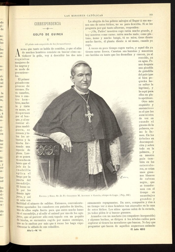Miniatura de Las Misiones Católicas del 15 de julio de 1893